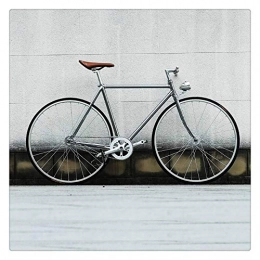  Vélos de routes Rétro AcierVélo Sliver 700C Cadre Vitesse Fixe Vélo Single Track Speed ?Bike 52cm Bike Vintage Frame (Sliver, 52cm(175cm-180cm))