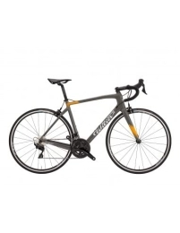 Wilier Triestina vélo Vélo de course en carbone WILIER GTR TEAM Campagnolo Centaur 11v REFLEX - Gris, L