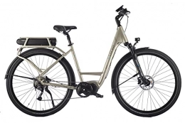 Brinke Vélos électriques Brinke Elysee Evo 46 Vélo électrique E6100 avec moteur Shimano 418 Wh gris