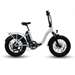 DERUIZ vélo DERUIZ Amber 20 Pouces Vélo électrique 500W 48V Tout-Terrain Fat VTT Vélo de Montagne électrique électrique avec Siège Arrière, 624Wh Batterie 3.5 inch LCD Affichage Vélo pour Homme et Femme(Blanc)