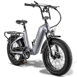 Fafrees vélo Fafrees Carbon Fiber Fat Tire F20 Master Ebike Vélo électrique Pliant 25KM / H 150KG Gris