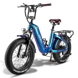 Fafrees vélo Fafrees Fibre de Carbone fattyre F20 Master ebike Vélo Pliant électrique 25km / h 150kg Bleu