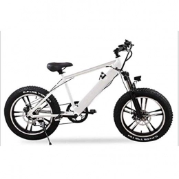 FZYE vélo FZYE 20 Pouces Vélos électriques, 4.0 Fat Tire Montagne Bicyclette Batterie Lithium-ION 48V 10A Amovible Tout Terrain Affichage LCD Cyclisme Sports eLoisirs, Blanc