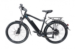 IO HAWK Vélos électriques IO HAWK ebike E2Pedelec avec bande antidrapante pour pneus Porte-bagages, greenway Batterie 374Wh