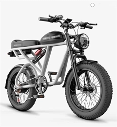 LIANAI Vélos électriques LIANAI zxc Bikes 20 pouces Vélo électrique gros pneu classique rétro deux roues électrique moto eBike double choc moteur 1500 W vélo électrique (couleur : 48 v1500 w)