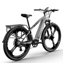 PRASHANT Vélos électriques PRASHANT CM-520 Vélo électrique, VTT électrique 29 ''pour Homme Adulte, Tout-Terrain Mountainbike avec Batterie 48v 14ah (Gris)