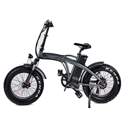 TAM BIKE vélo TAM BIKE - Vélo électrique Pedelec 250 W, 36 V, haute performance avec changement SHIMANO 7 vitesses, batterie Samsung avec plus de 1000 recharges rapides et écran LCD (Gris)