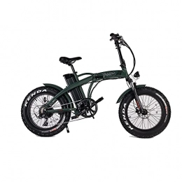 TAM BIKE vélo TAM BIKE - Vélo électrique Pedelec 250 W, 36 V, haute performance avec changement SHIMANO 7 vitesses, batterie Samsung avec plus de 1000 recharges rapides et écran LCD (vert militaire)