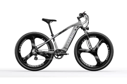 RICH BIT Vélos électriques TOP-520 E-Bike 29 Pouces vélo pour Hommes(Gris)