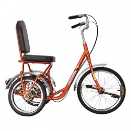 DERUKK-TY Vélos électriques Tricycles électriques pour personnes âgées, vélo pour adultes, tricycles pour personnes âgées, pédales de loisirs et de fitness pour adultes et vélos de sport pour faire du shopping, faire d