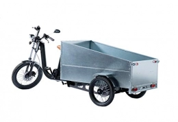 TRIPS vélo TRIPS Triporteur Tricycle électrique 250 Kg de Charge. Modules : Street Food Truck Cuisine- Trans palettes - Pickup - Cargo Livraison - Taxi - (Pickup)