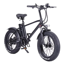 ride66 Vélos électriques Vélo électrique Fat Bike vélo de Ville VTT 20 Pouces 48V 15Ah Batterie pour Adulte Homme et Femme
