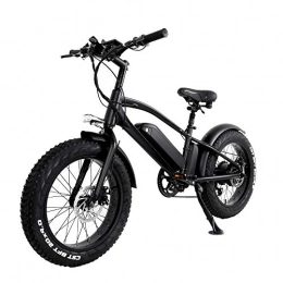 ride66 Vélos électriques Vélo électrique Fat Bike vélo de Ville VTT 20 Pouces Moteur 750W Double Batterie 48V 10Ah pour Adulte Homme et Femme