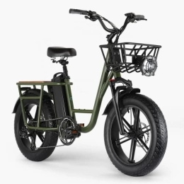 Fafrees Vélos électriques Vélo électrique T1 20" 48 V 20 Ah avec batterie Fat Tire E-Bike Pliant Vélo VTT avec Shimano 7 vitesses City Ebike