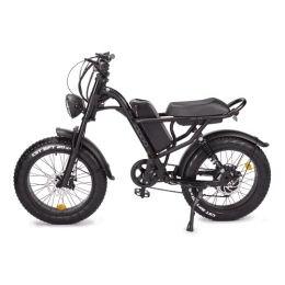 Fafrees vélo Vélo électrique électrique 20" x 4.0 Fat Tire - Batterie 48 V 15, 6 A - Jusqu'à 40-120 km - Vélo de montagne électrique Shimano 7S - City Ebike Homme Femme