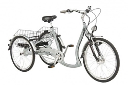 Wild Garden Vélos électriques Wild Eagle Tricycle 26 / Produit de 24lectrique fabriqu en Allemagne B Argent