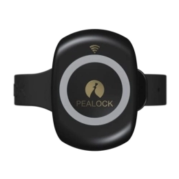 Pealock Smartes Elektronisches Fahrradschloss mit Alarm und GPS - Bewegungsmelder, Integrierter Alarm und GPS-Ortung - Schwarz